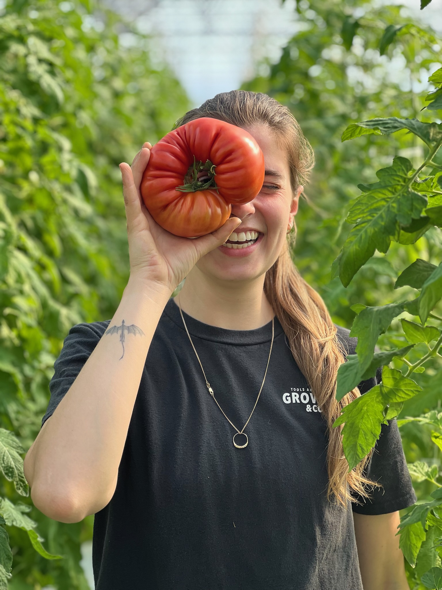 A market gardener smiling, holding a giant heirloom tomato in front of one eye, framed by tomato plants