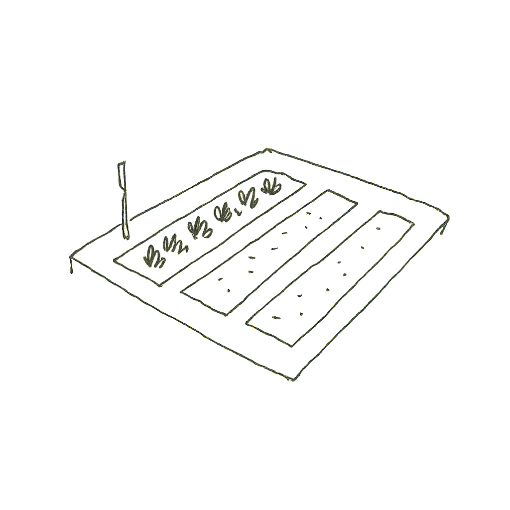 Hand-drawn sketch of a small half-acre farm plot with rows of beds